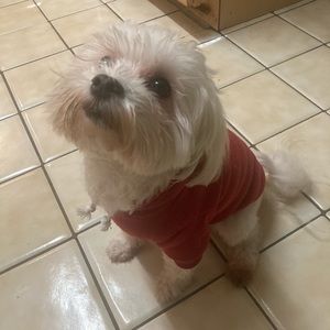 Meet your Posher, Nya